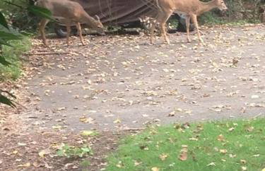 Early check in- late check out Free day! - Foto 41