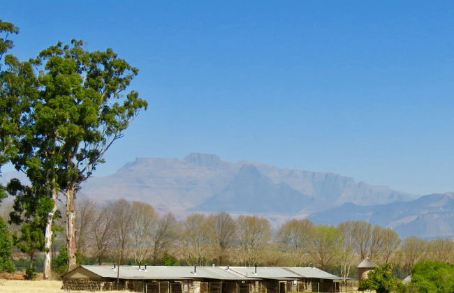 Ardmore Guest Farm - Photo 58