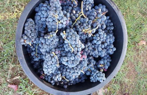 O Beiral da Anastácia - Foto 38