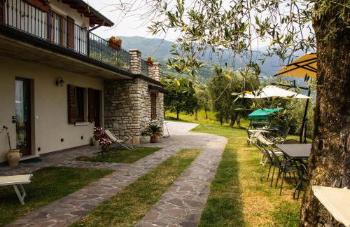 Agriturismo L'Uliveto - Foto 66