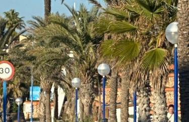 Penthouse Palapagolf - Foto 36