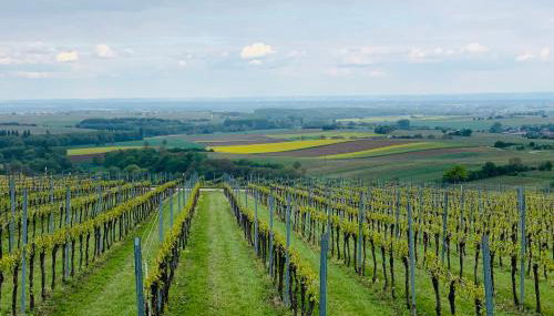 Villa Mandelblüte - Foto 5