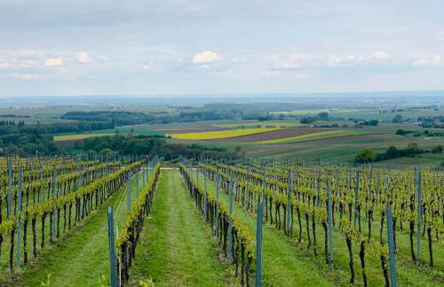 Villa Mandelblüte - Foto 5