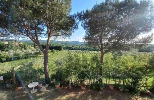 Podere Campanella - Photo 30