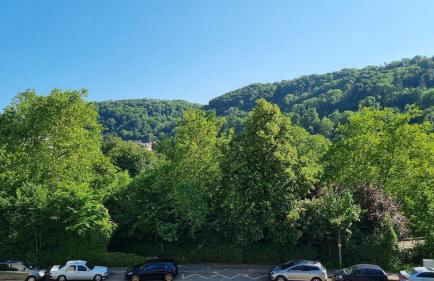 Gemütliche Einzimmerwohnung - Foto 7