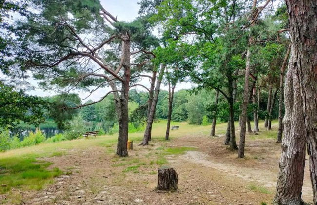 Beachside Villa + Sauna - Photo 34