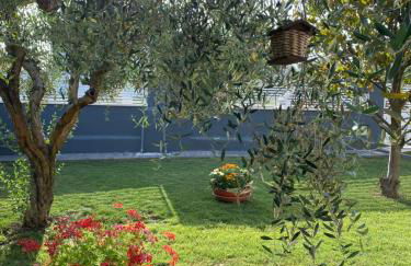 Il Trammino - Foto 9