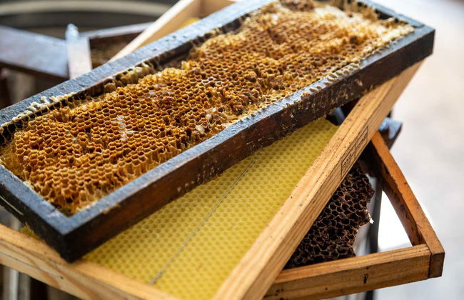 Algarve 4x4 Day Trip - Photo 8