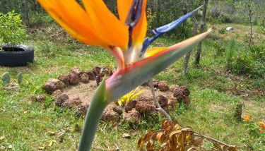 Recanto da Tia Lena - Foto 2