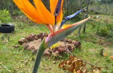 Recanto da Tia Lena - Foto 2