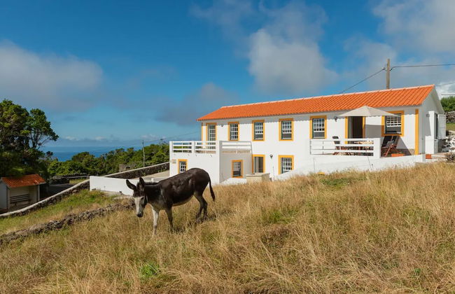 Villa Traditional, Pico by Izibookings - Foto 19