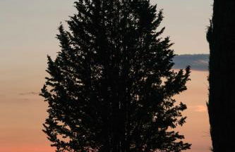 Hotel Relais Santa Genoveffa - Foto 21