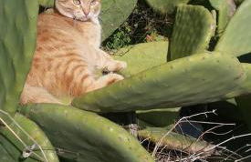 Casa Maria Elena - Foto 27