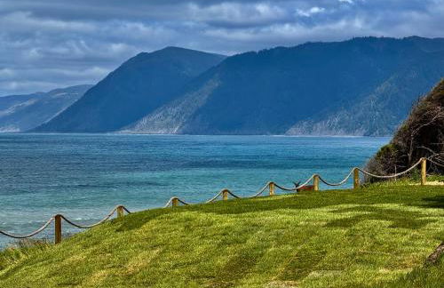 Starfish by OceanviewHotTubs Oceanfront Tesla chrging Shelter Cove Oceanfront - Foto 5