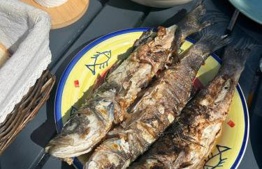 Kuća za odmor Velebit by the sea - Photo 42