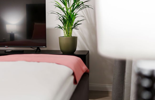 RIGAAPARTMENT ELIZABETES 22 Aparthotel - Photo 31