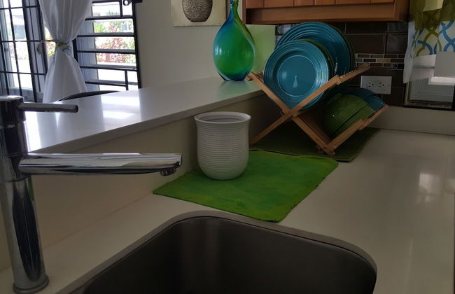 Ocho Rios Villa at Coolshade IV - Photo 30