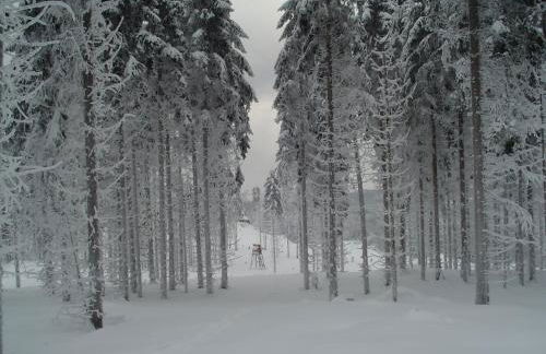 Apartments und Bistro Zum Glasmacher - Foto 82