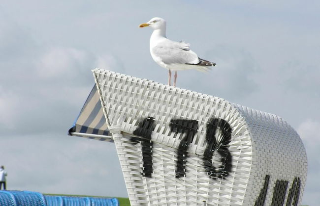 Ferienwohnung in Bester Lage in Boltenhagen mit Terrasse - Foto 25