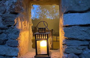 Les 2 voûtes - Mas provençal pour 10 personnes - Foto 11