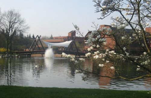 Casa Vacanze Tigli 312 - Foto 20