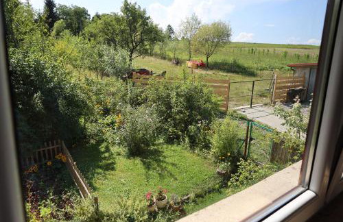 Agroturystyka u Babci - Photo 43