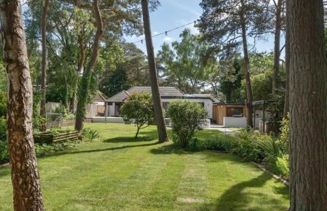 Kiwi Pines forest retreat! - Foto 11