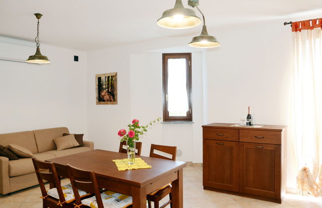 Faggio (SBO101) - Foto 2