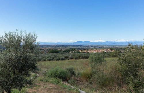 V022 - VILLA ELS OLIVARS - Foto 43