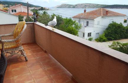 Apartments Stengl - Foto 68