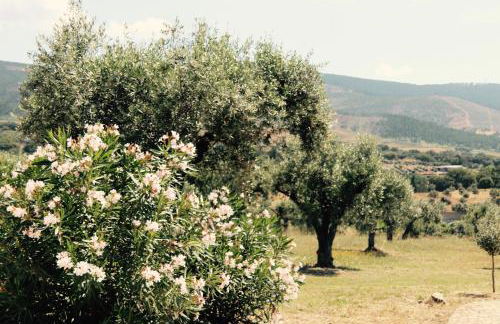 Casa da Pedra-Quinta do Briando - Foto 26