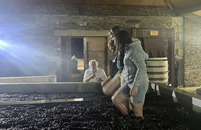 QUINTA DA FAISCA - Agro Turismo - Foto 8