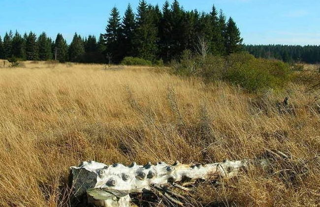 Chalet With Valley Views, - Foto 39