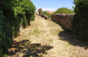 Alojamiento Rural La Arboleda - Foto 5