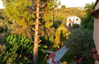 Viki Studios - Foto 14