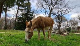 azienda agrituristica la torretta - Foto 4