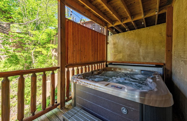 NEW Game Rm, Nerf, Outdoor Pool, Sauna, HotTub - Foto 87