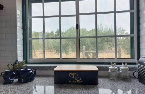 Monte na Barragem de Montargil com piscina - Foto 10