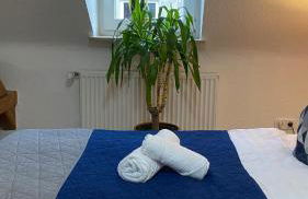 City Nowa 1 - Foto 70