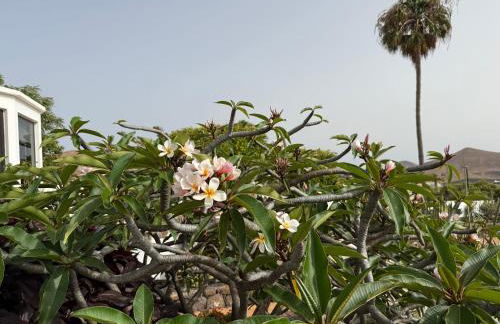 Villa Dora Bella Lanzarote - Foto 65