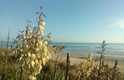 Villa Trifoglio - Foto 12