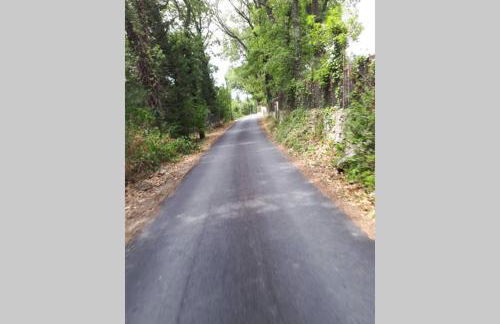 La Velleronnaise - Foto 37