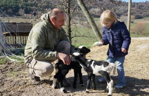 Domaine du Bas Chalus - Foto 1