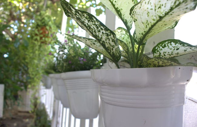 Des Ami Villa - Foto 39