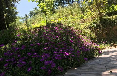 Bus atypique au bord du canal du midi et au cœur d'une forêt 2 chambres - Foto 31