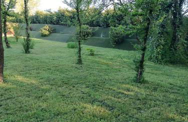 Domaine D'Erras - la bergeronnette - Foto 14