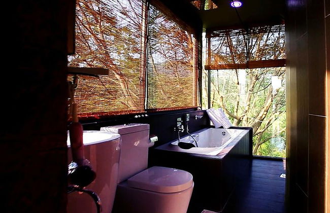 Castle palace kandy - Foto 24