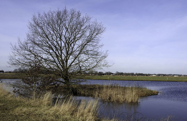 2 bedroom House in Elim with garden and terrace - Photo 19