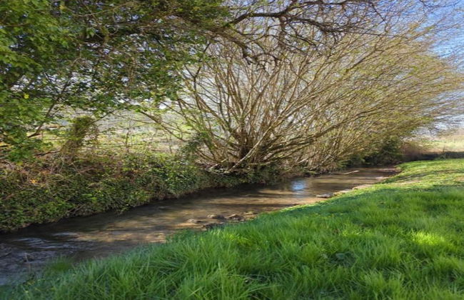 Stylish Stay in Central Sedan - Photo 37