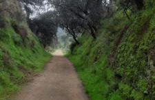 El Refugio - Photo 75